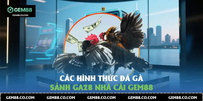 Các hình thức đá gà sảnh GA28 nhà cái Gem88