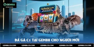 Đá Gà C1 Tại Gem88 Cho Người Mới