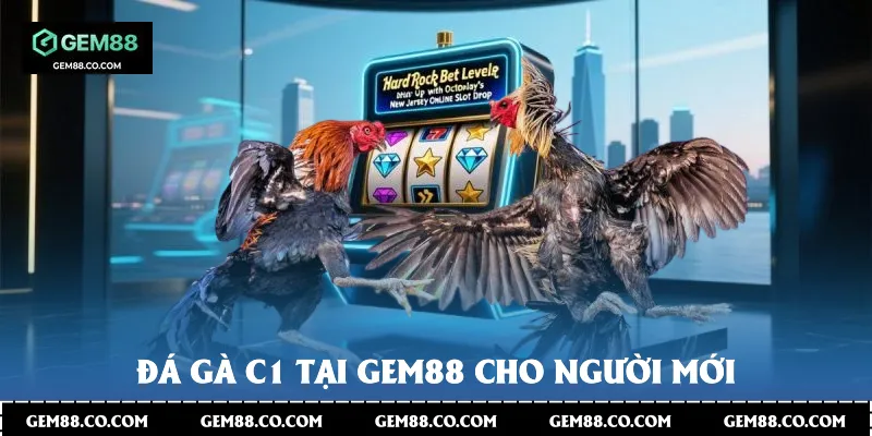 Đá Gà C1 Tại Gem88 Cho Người Mới